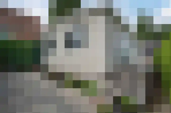 Heetveld 26 Sint Jansklooster thumbnail 34