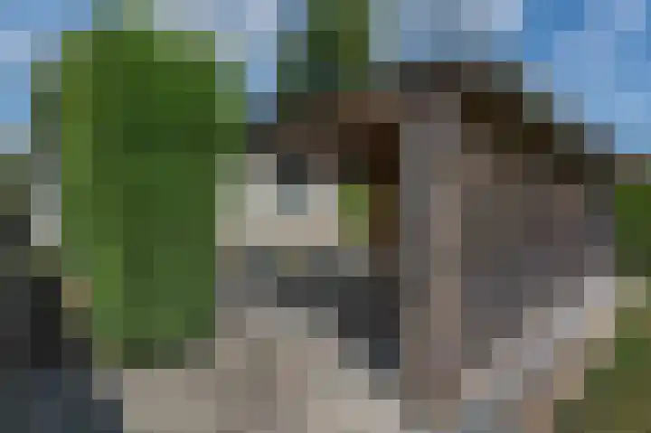 Heetveld 26 Sint Jansklooster thumbnail 4