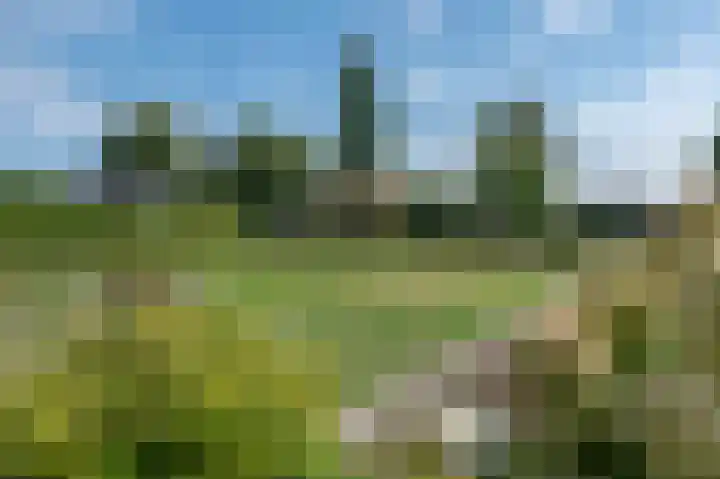 Heetveld 26 Sint Jansklooster thumbnail 6
