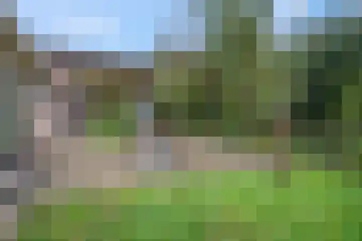 Heetveld 53 Sint Jansklooster thumbnail 10