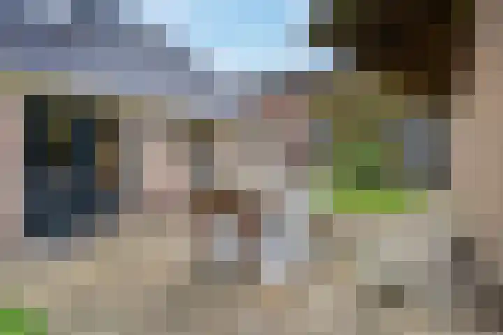 Heetveld 53 Sint Jansklooster thumbnail 11