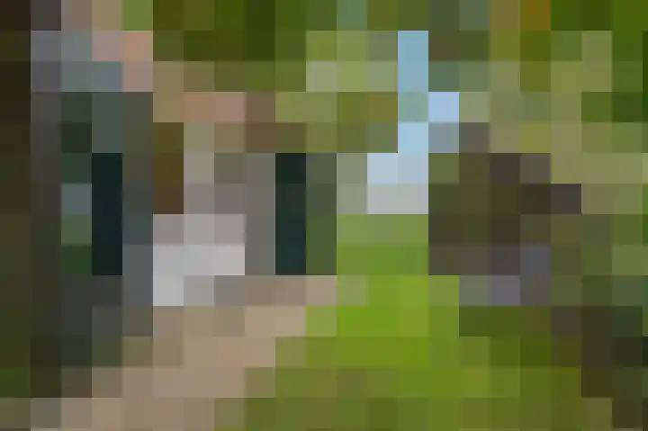 Heetveld 53 Sint Jansklooster thumbnail 12