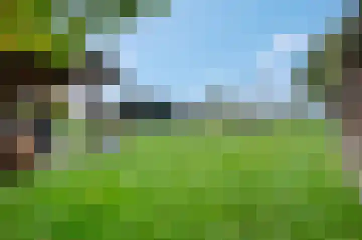 Heetveld 53 Sint Jansklooster thumbnail 13