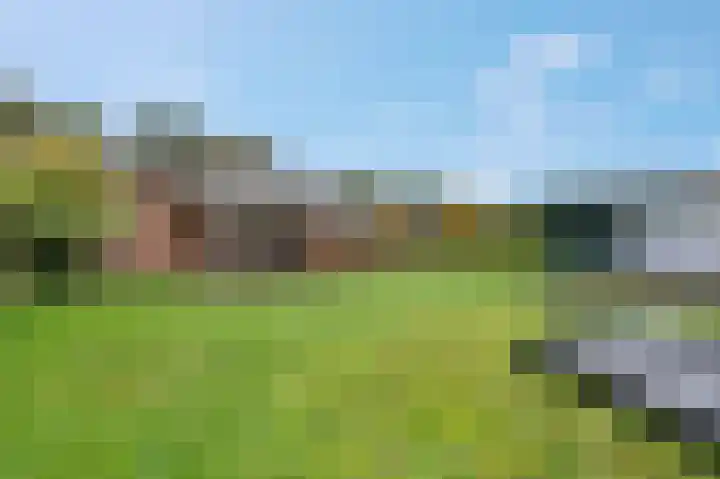 Heetveld 53 Sint Jansklooster thumbnail 14