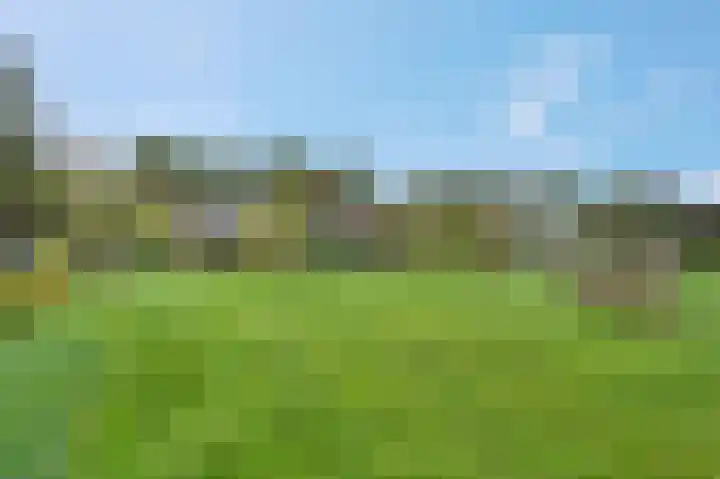 Heetveld 53 Sint Jansklooster thumbnail 15