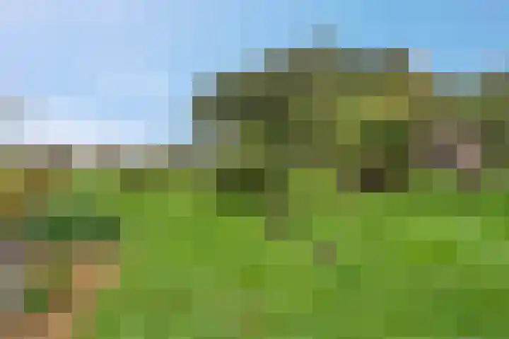 Heetveld 53 Sint Jansklooster thumbnail 16
