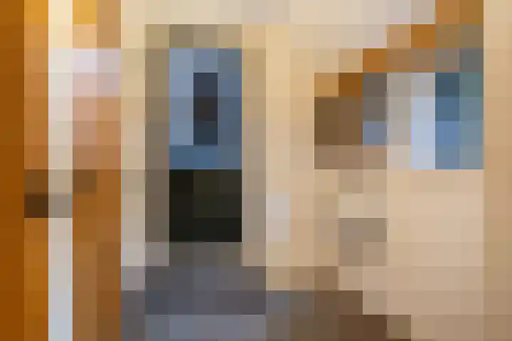Heetveld 53 Sint Jansklooster thumbnail 33