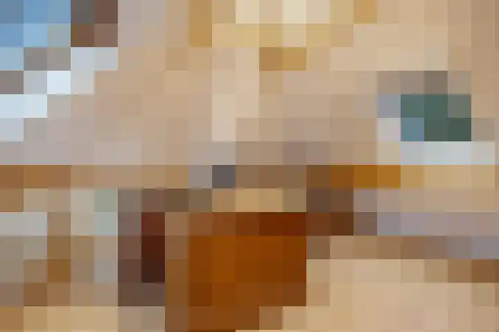 Heetveld 53 Sint Jansklooster thumbnail 41