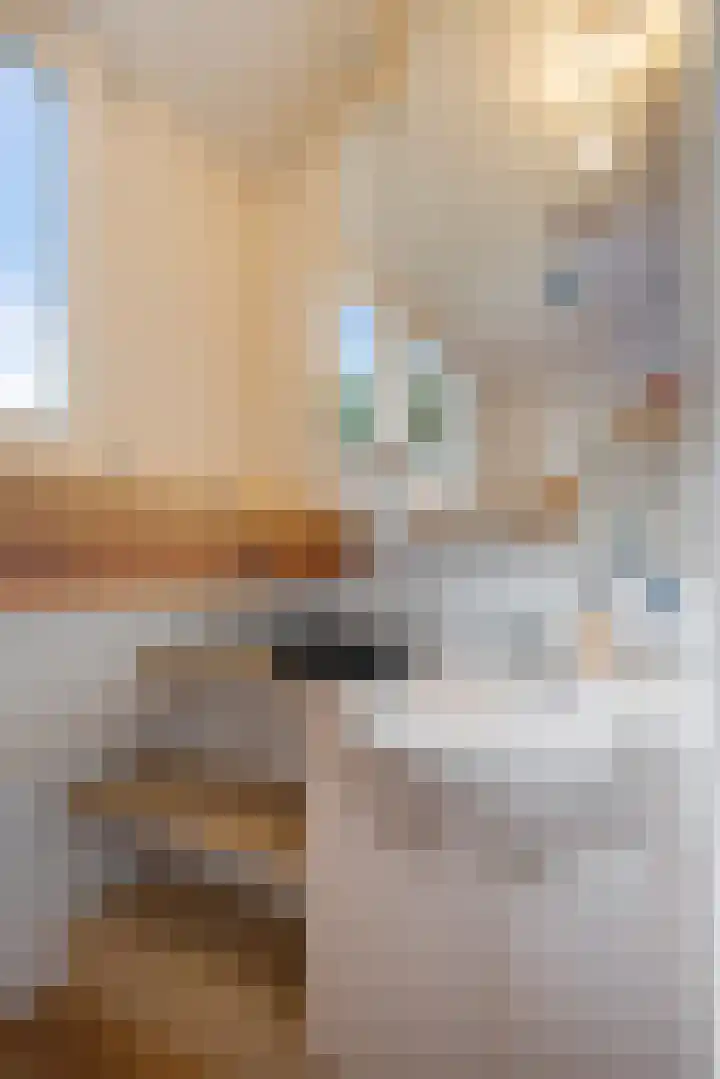 Heetveld 53 Sint Jansklooster thumbnail 45