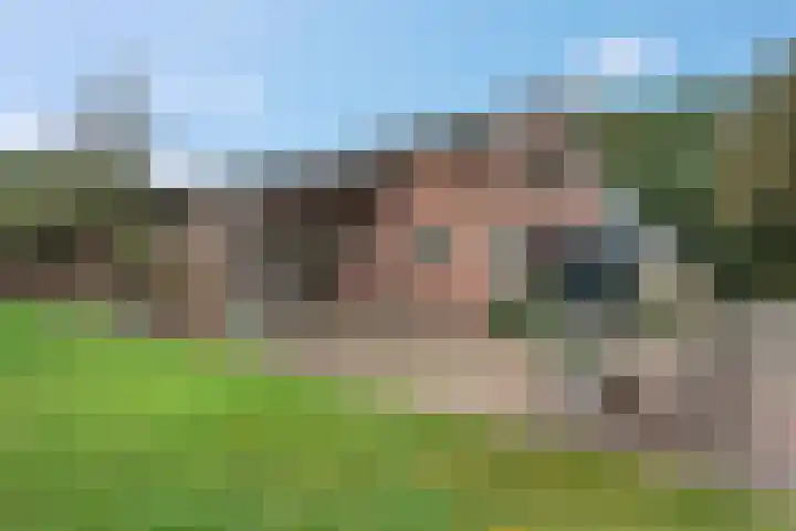 Heetveld 53 Sint Jansklooster thumbnail 49