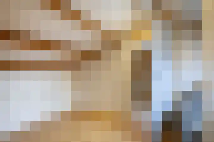 Heetveld 53 Sint Jansklooster thumbnail 63