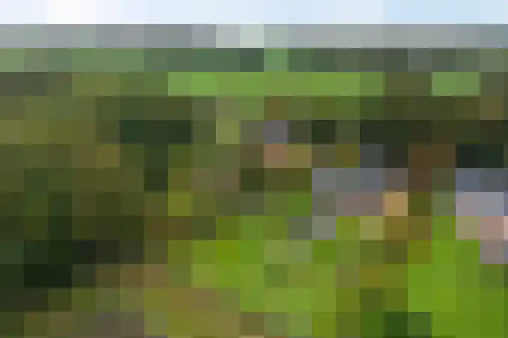 Heetveld 53 Sint Jansklooster thumbnail 64