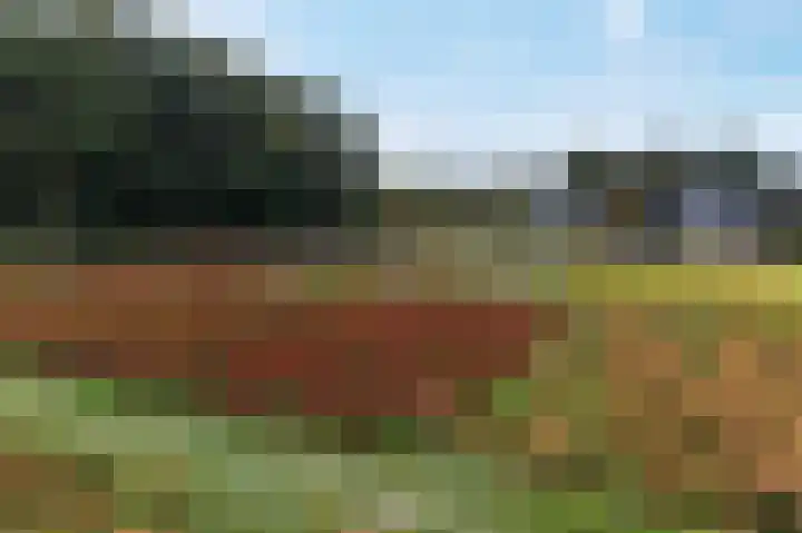 Heetveld 53 Sint Jansklooster thumbnail 65