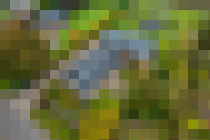 Heetveld 53 Sint Jansklooster thumbnail 67
