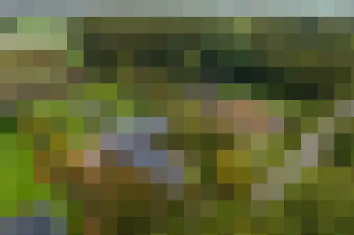 Heetveld 53 Sint Jansklooster thumbnail 68