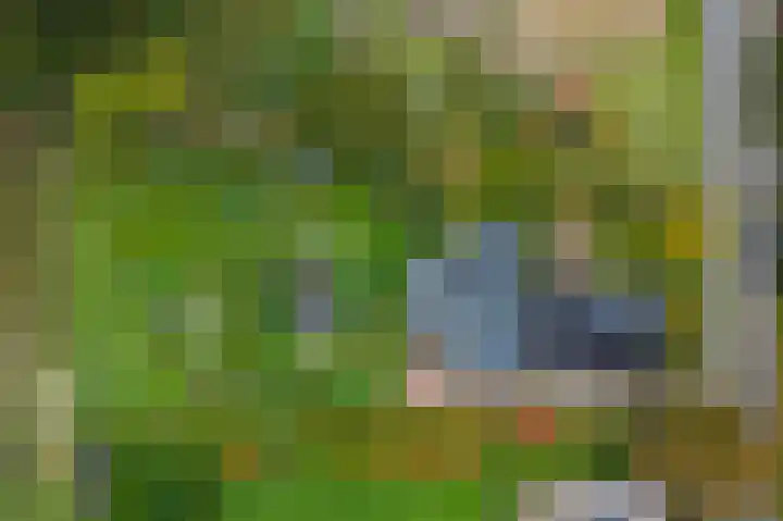 Heetveld 53 Sint Jansklooster thumbnail 69