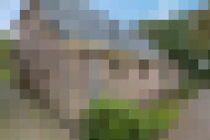 Heetveld 53 Sint Jansklooster thumbnail 7
