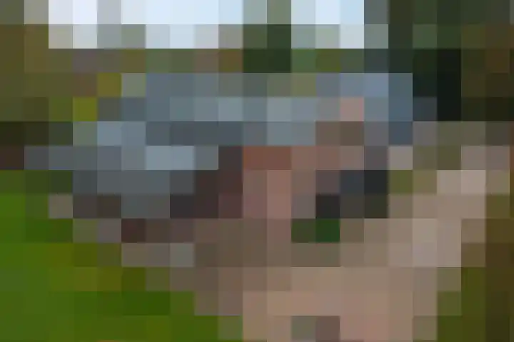 Heetveld 53 Sint Jansklooster thumbnail 70