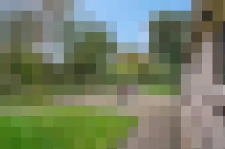 Heetveld 53 Sint Jansklooster thumbnail 8