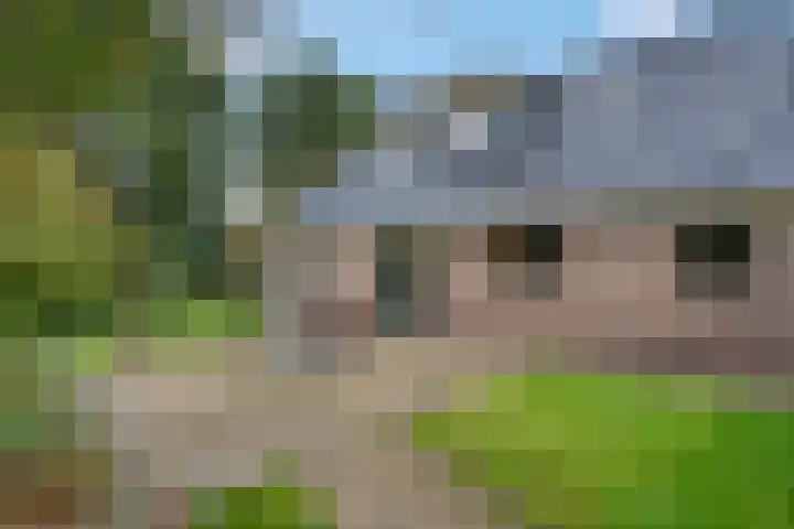 Heetveld 53 Sint Jansklooster thumbnail 9