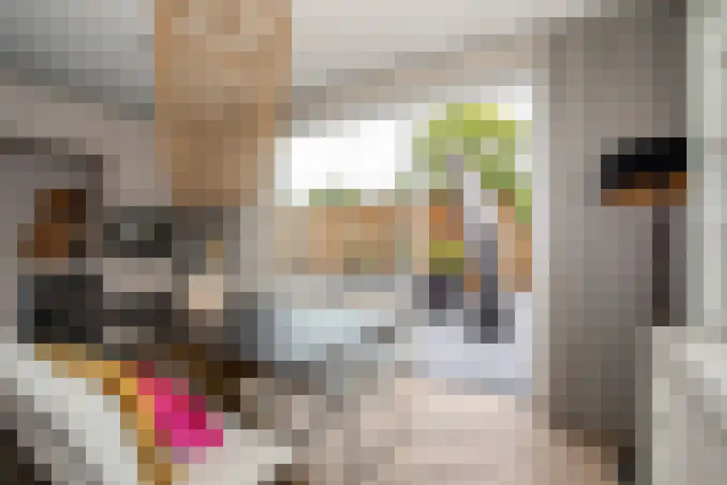 Heetveldsweg 72 Almelo thumbnail 15