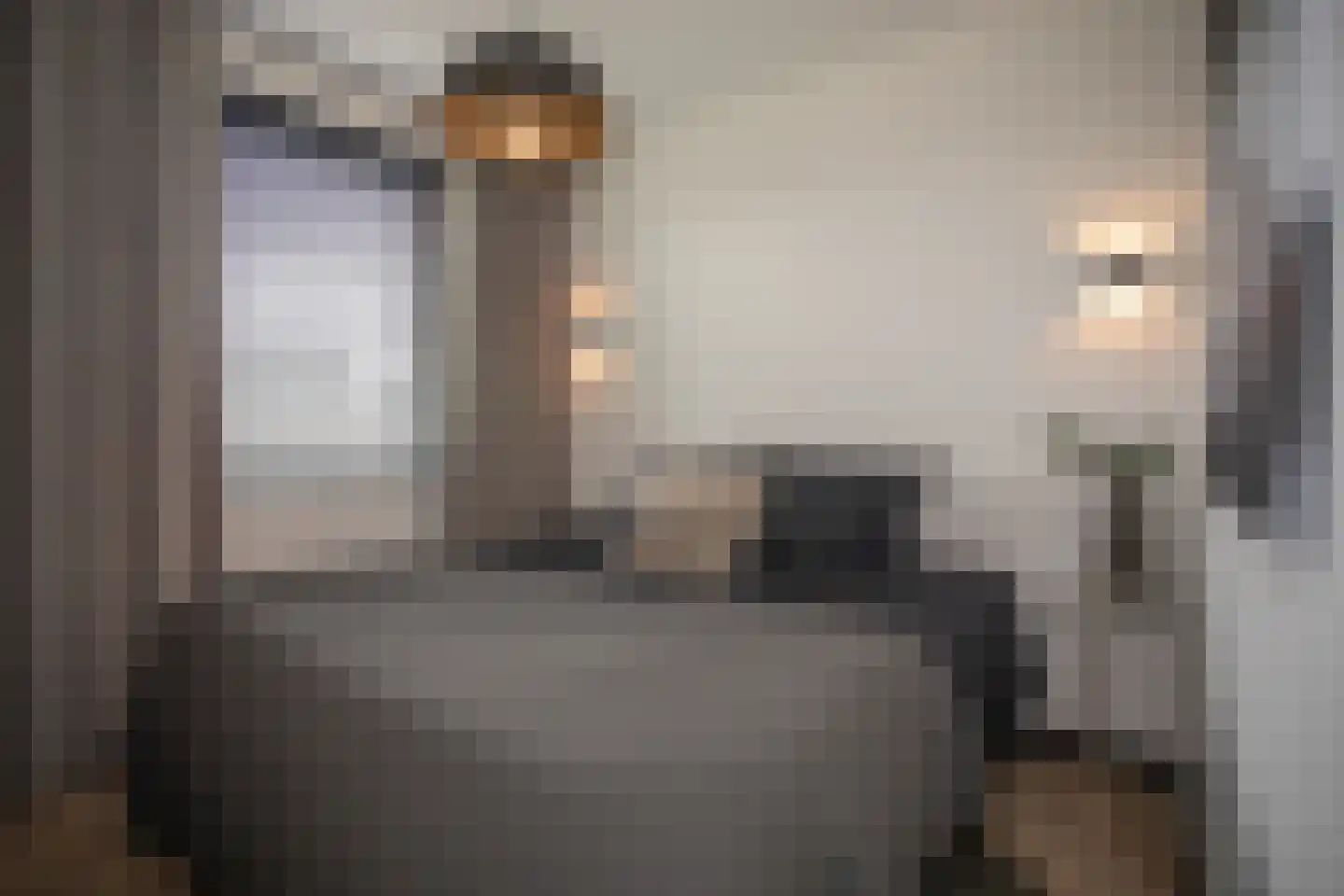 Heetveldsweg 72 Almelo thumbnail 18