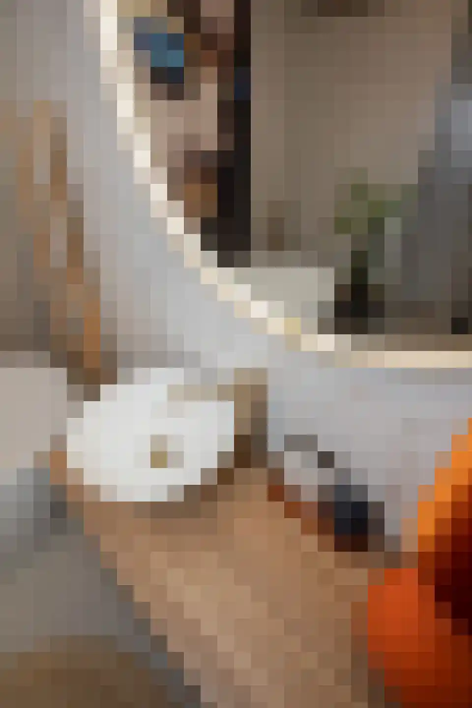 Heetveldsweg 72 Almelo thumbnail 22