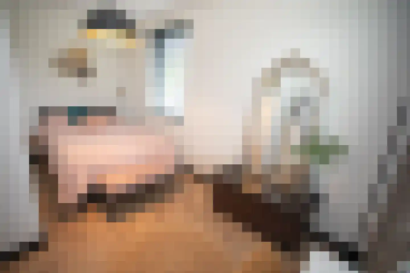 Heetveldsweg 72 Almelo thumbnail 26