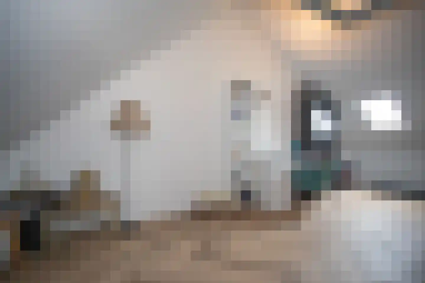 Heetveldsweg 72 Almelo thumbnail 30