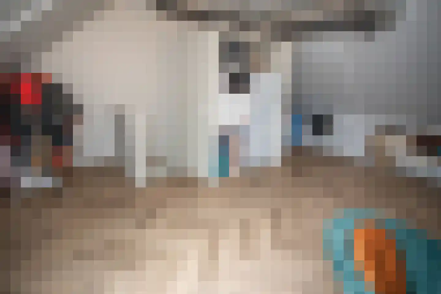 Heetveldsweg 72 Almelo thumbnail 31