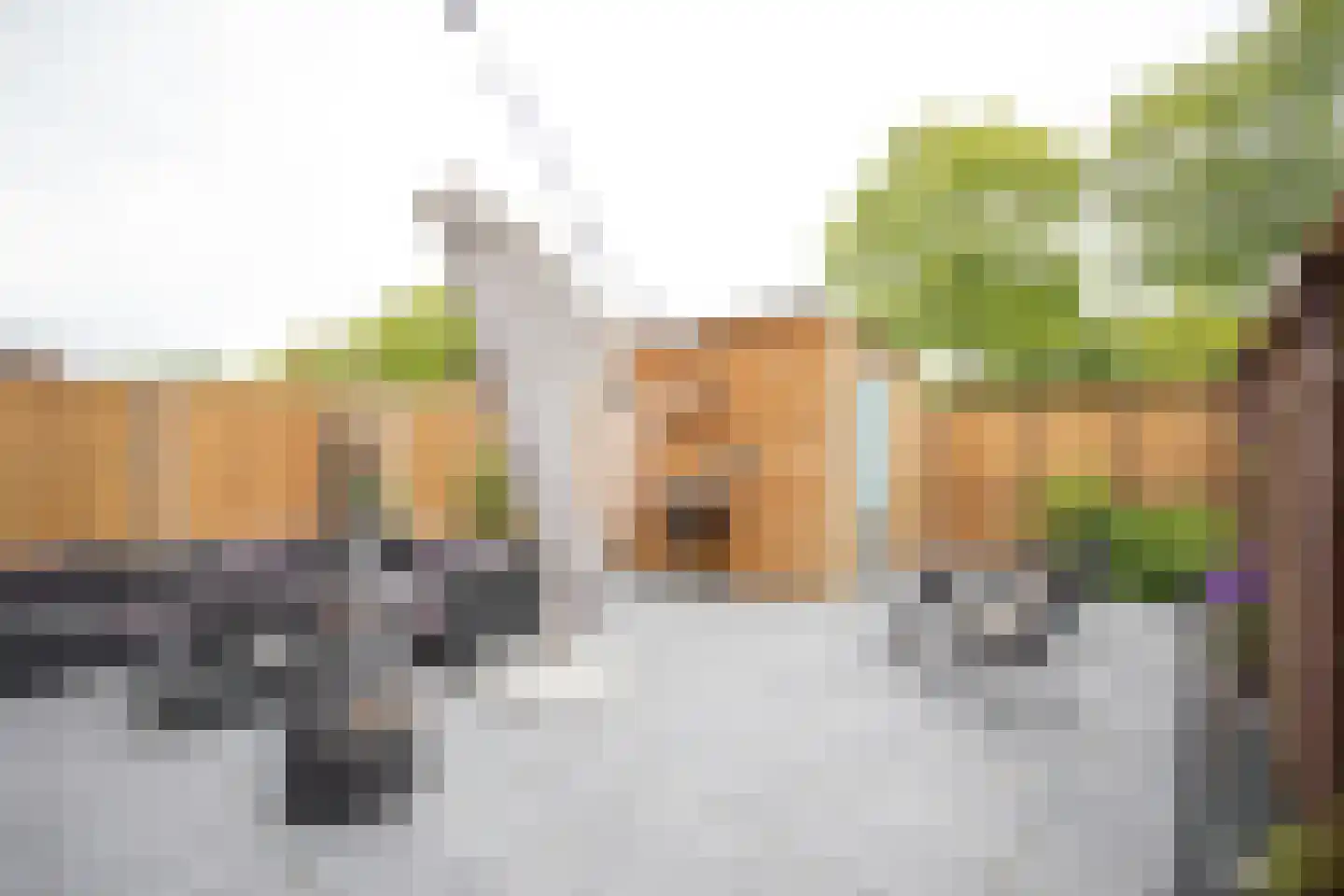 Heetveldsweg 72 Almelo thumbnail 33