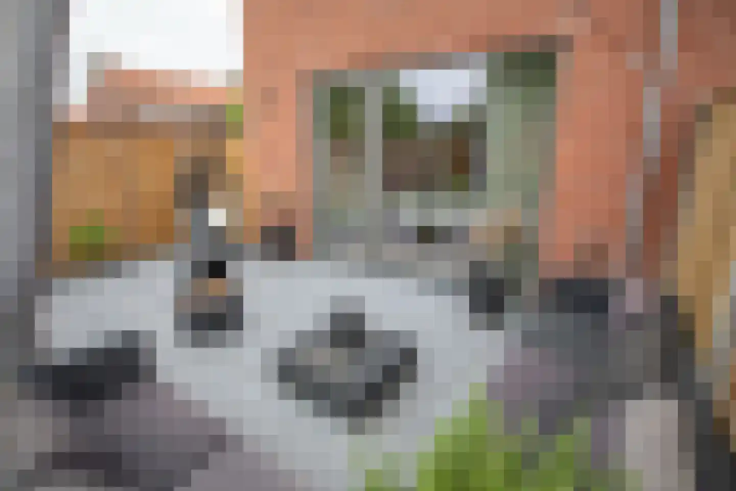 Heetveldsweg 72 Almelo thumbnail 36