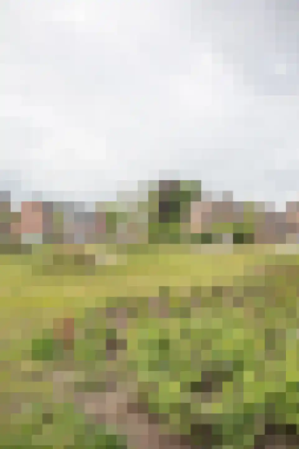 Heetveldsweg 72 Almelo thumbnail 40