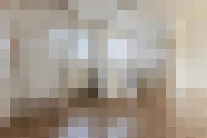 Heezerenbosch 10 a Heeze thumbnail 25