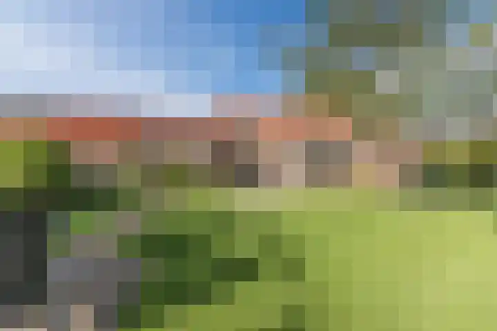 Heezerenbosch 10 a Heeze thumbnail 33