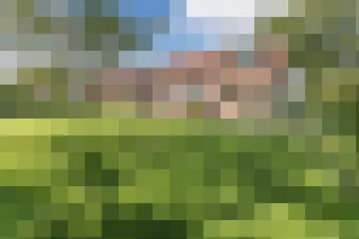 Heezerenbosch 10 a Heeze thumbnail 34