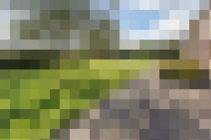 Heezerenbosch 10 a Heeze thumbnail 35