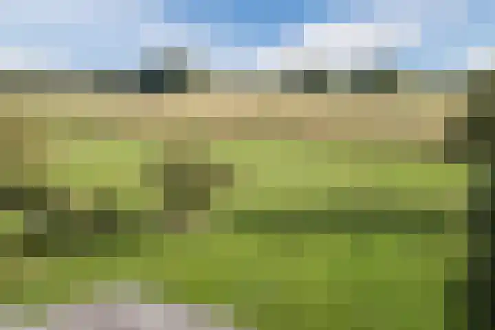Heezerenbosch 10 a Heeze thumbnail 36