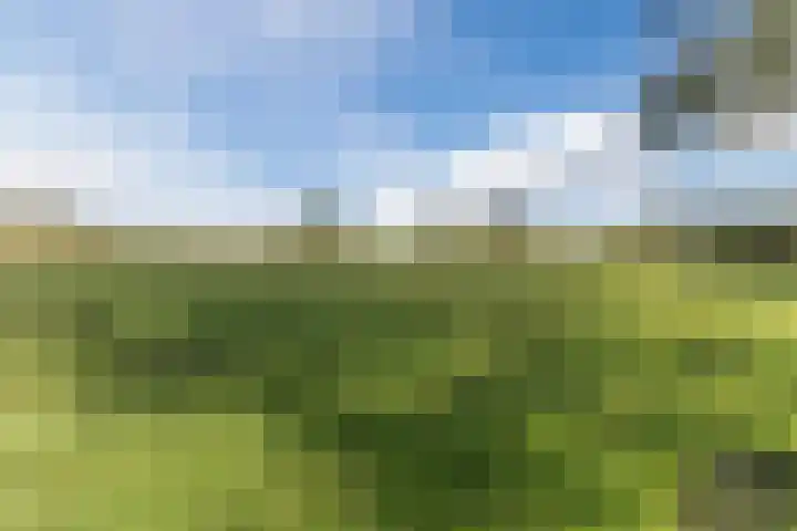 Heezerenbosch 10 a Heeze thumbnail 37
