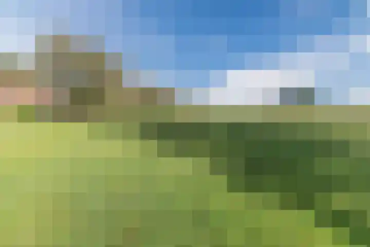 Heezerenbosch 10 a Heeze thumbnail 38