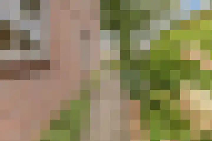 Heezerenbosch 10 a Heeze thumbnail 40