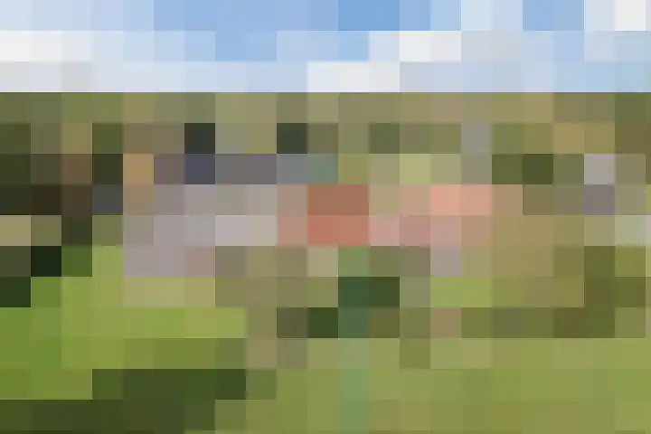 Heezerenbosch 10 a Heeze thumbnail 52