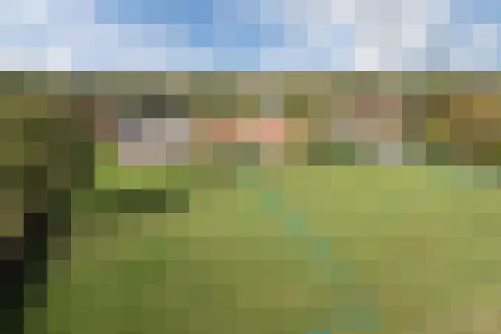 Heezerenbosch 10 a Heeze thumbnail 53