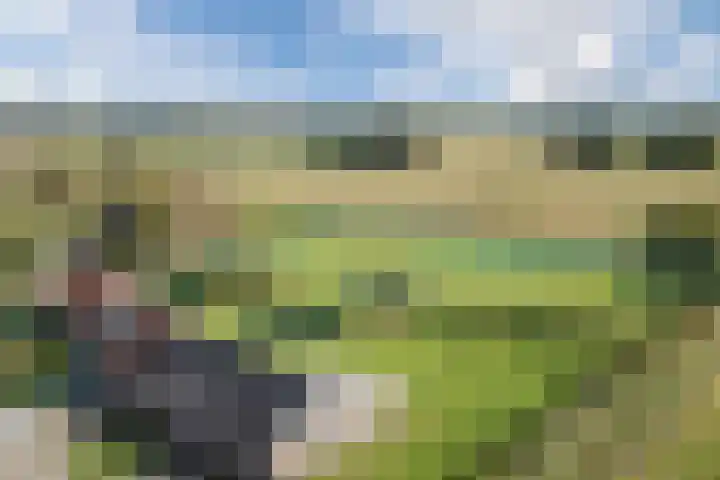 Heezerenbosch 10 a Heeze thumbnail 54