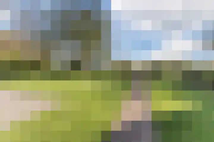 Heezerenbosch 10 a Heeze thumbnail 7