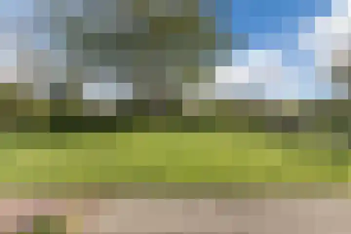 Heezerenbosch 10 a Heeze thumbnail 8