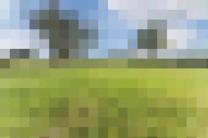 Heezerenbosch 10 a Heeze thumbnail 9