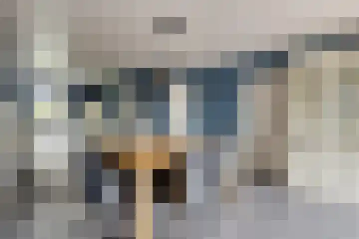 Heezerenbosch 21 Heeze thumbnail 12