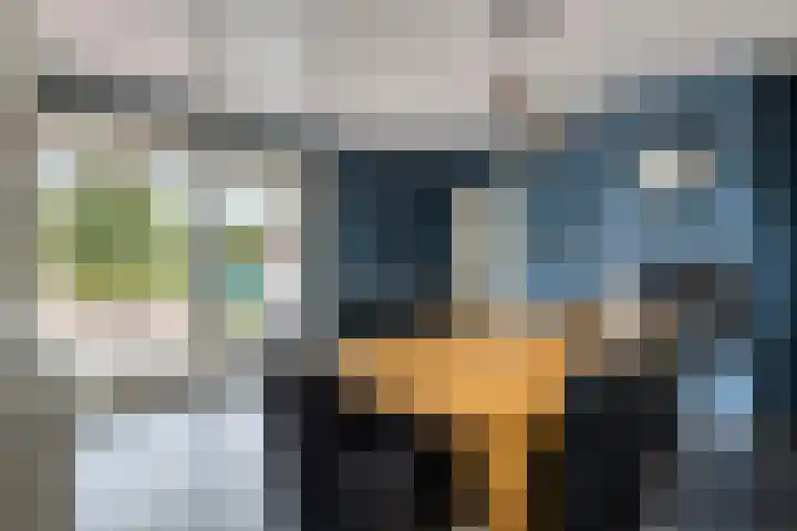 Heezerenbosch 21 Heeze thumbnail 13