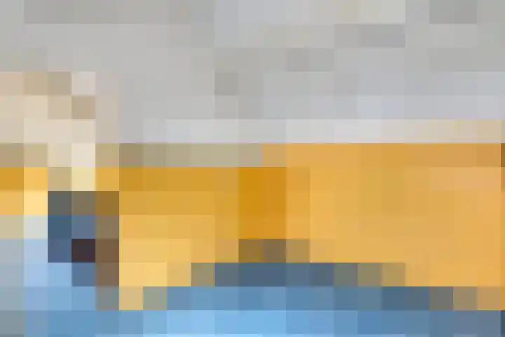 Heezerenbosch 21 Heeze thumbnail 31